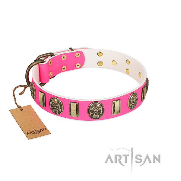 Durable studs on genuine leather dog collar for your doggie