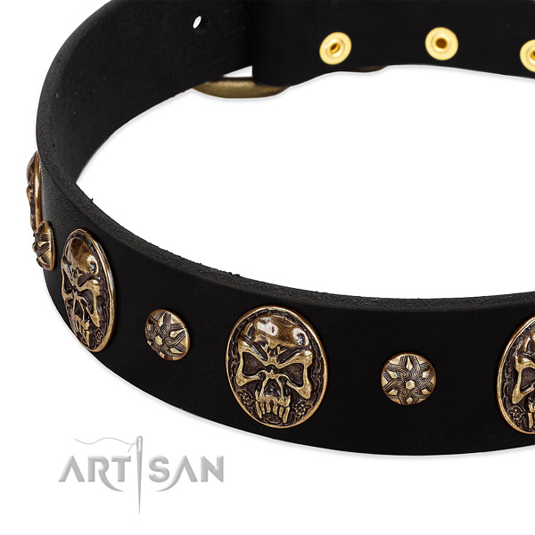 Strong decorations on leather dog collar for your pet