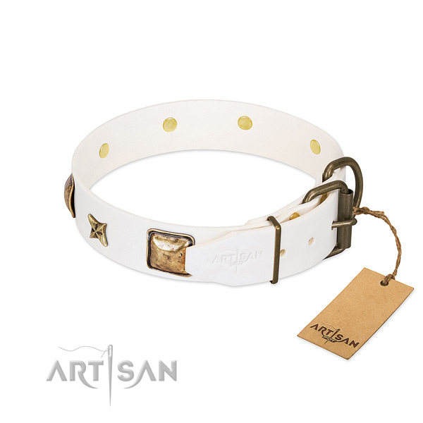 Full grain genuine leather dog collar with reliable traditional buckle and embellishments