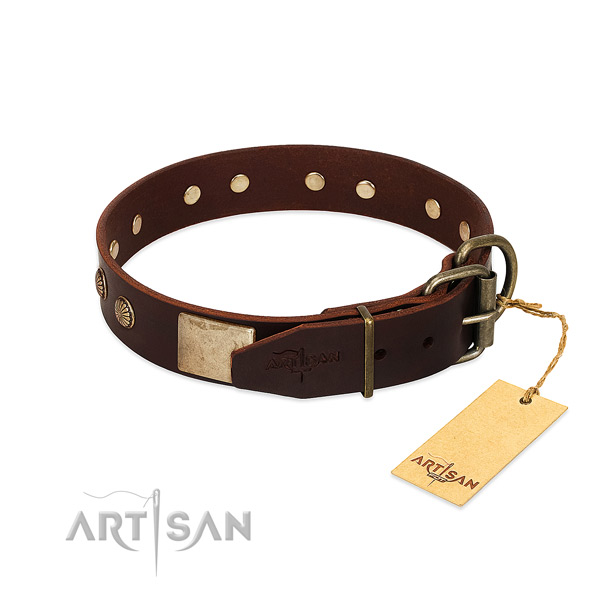 Strong decorations on easy wearing dog collar