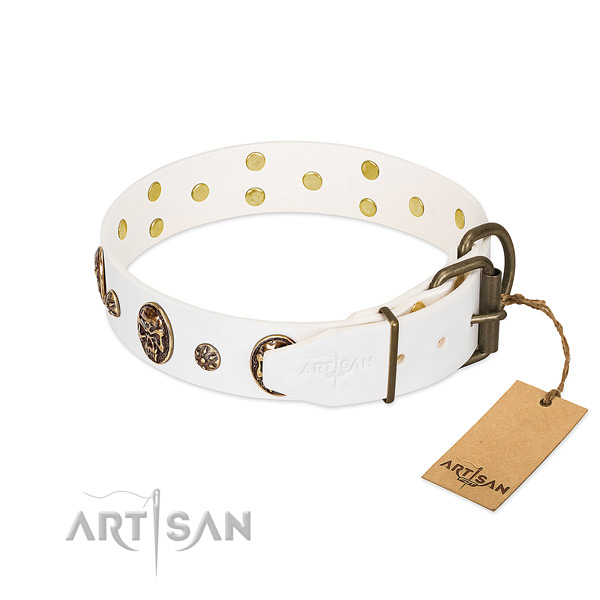 Corrosion resistant traditional buckle on full grain natural leather dog collar for your canine