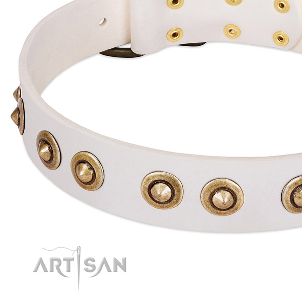 Durable traditional buckle on natural leather dog collar for your doggie