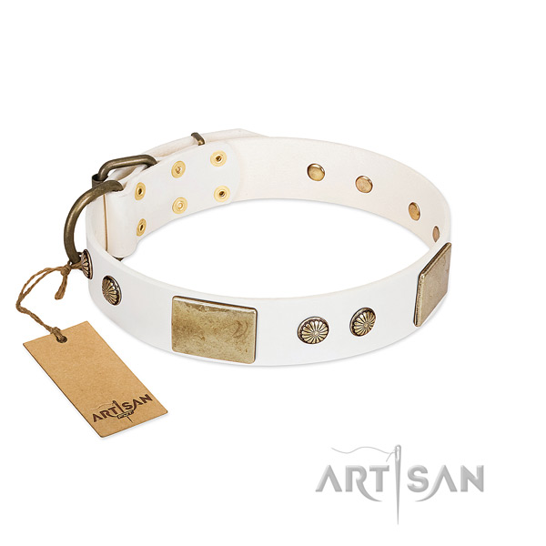 Easy to adjust natural leather dog collar for everyday walking your four-legged friend