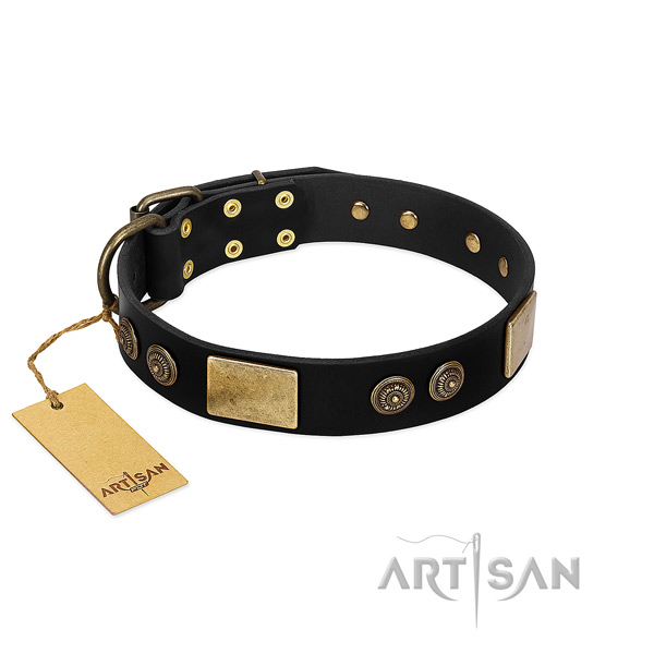 Reliable fittings on leather dog collar for your doggie