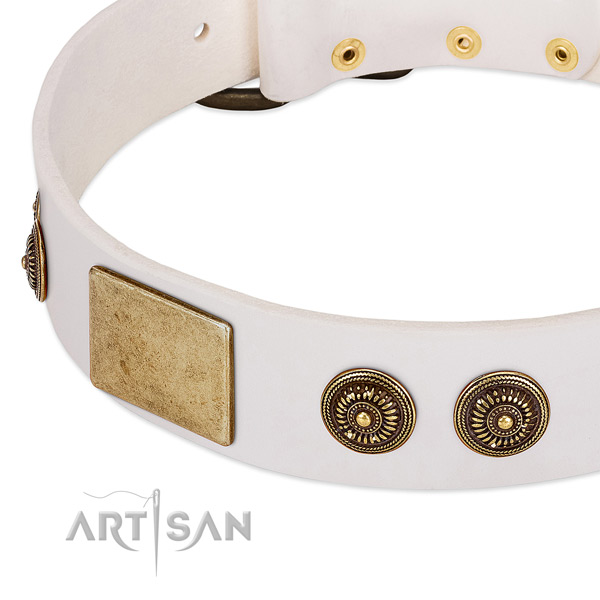 Decorated dog collar handcrafted for your lovely canine