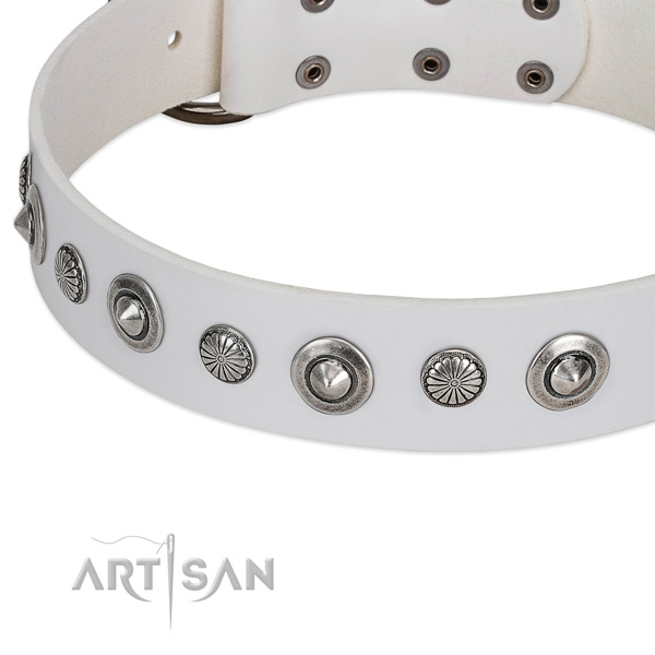 Full grain natural leather collar with corrosion resistant fittings for your handsome pet