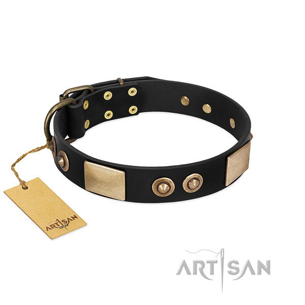 Adjustable full grain genuine leather dog collar for daily walking your pet