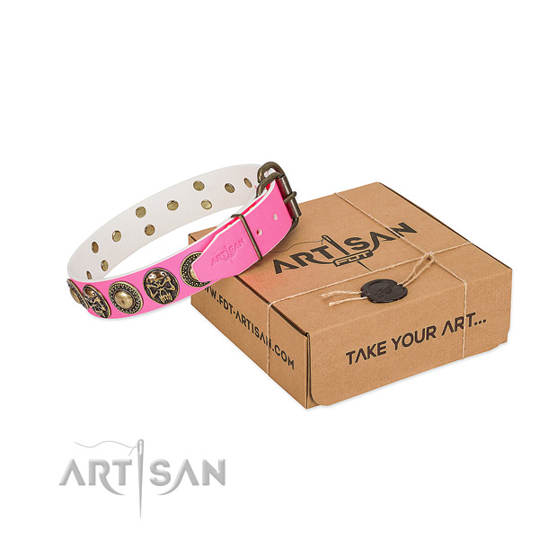 Strong traditional buckle on dog collar for comfortable wearing