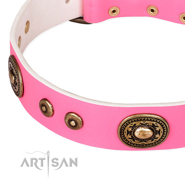 Natural genuine leather dog collar made of reliable material with decorations