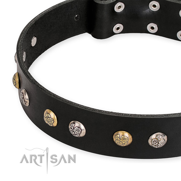 Genuine leather dog collar with stylish corrosion resistant decorations