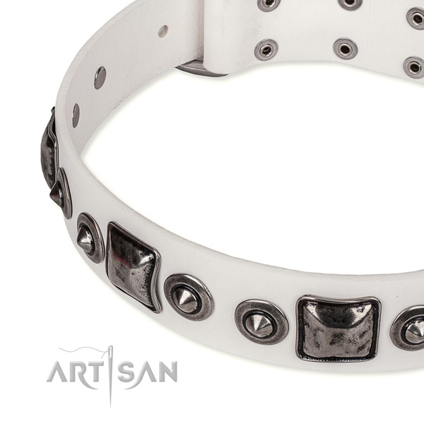 Soft to touch full grain natural leather dog collar created for your impressive canine
