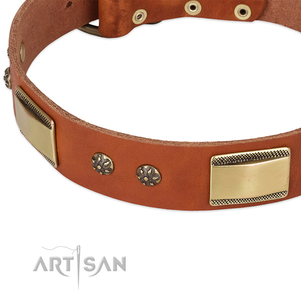 Corrosion proof buckle on leather dog collar for your canine