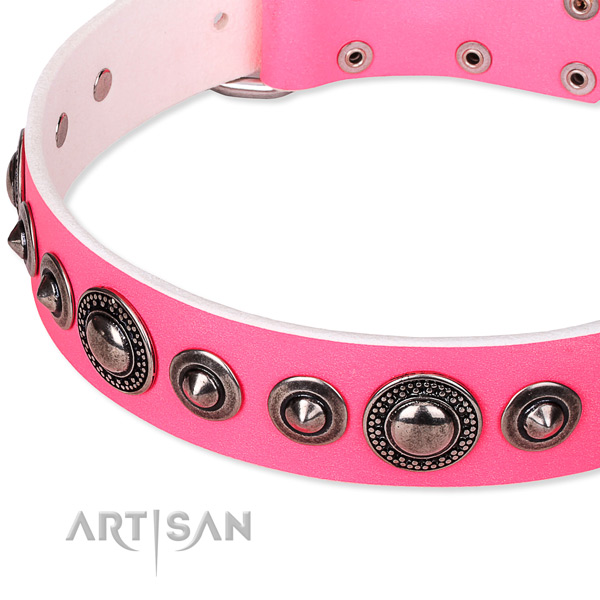 Daily walking adorned dog collar of reliable full grain genuine leather