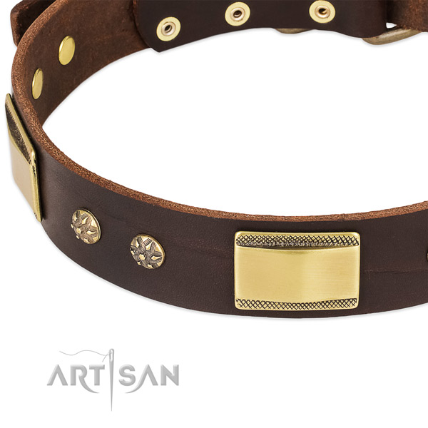 Corrosion resistant decorations on genuine leather dog collar for your pet