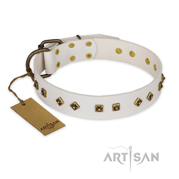 Perfect fit full grain genuine leather dog collar with corrosion resistant fittings