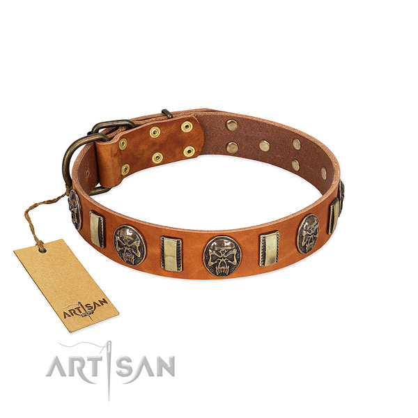 Trendy genuine leather dog collar for handy use