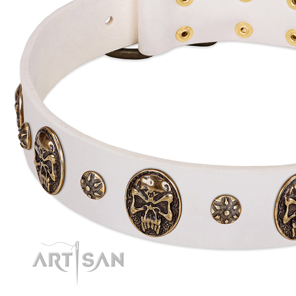 Strong adornments on leather dog collar for your doggie
