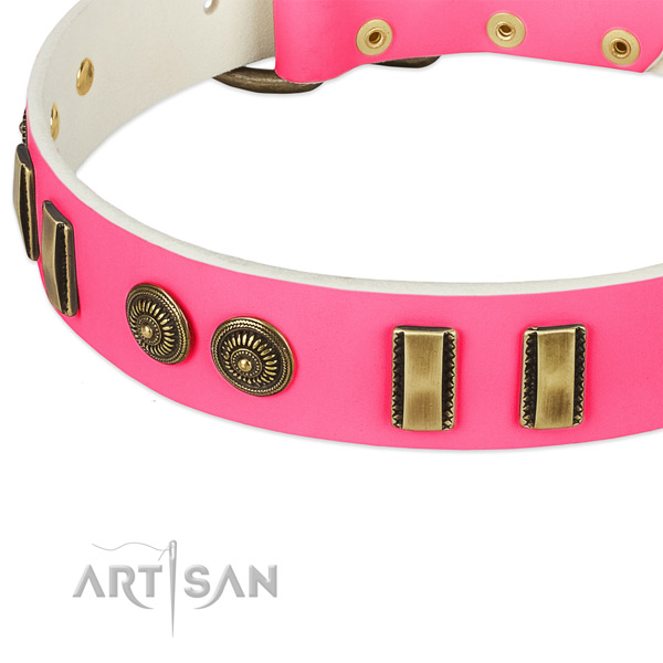 Strong adornments on full grain natural leather dog collar for your doggie