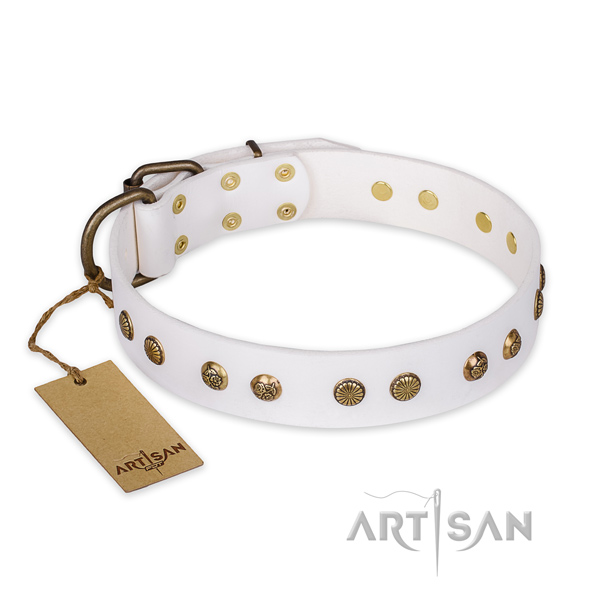 Exquisite full grain genuine leather dog collar with rust-proof buckle