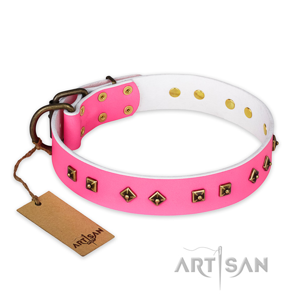 Impressive full grain genuine leather dog collar with reliable fittings