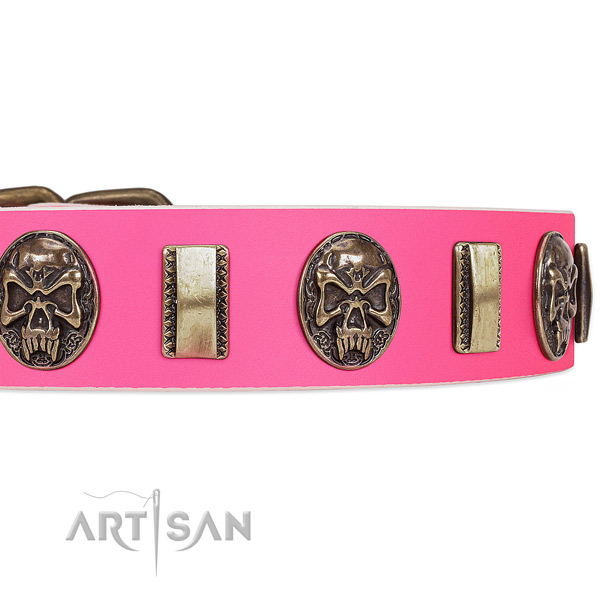 Corrosion proof decorations on full grain genuine leather dog collar for your four-legged friend