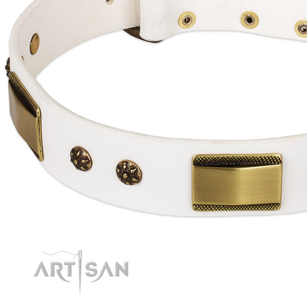 Reliable embellishments on full grain leather dog collar for your four-legged friend