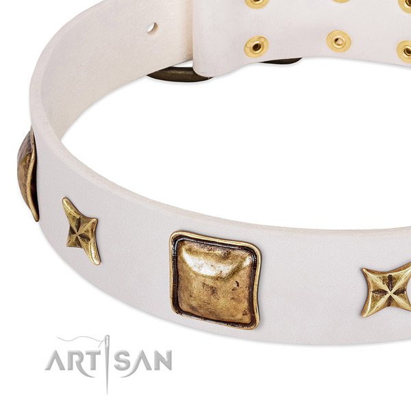 Strong studs on natural genuine leather dog collar for your four-legged friend