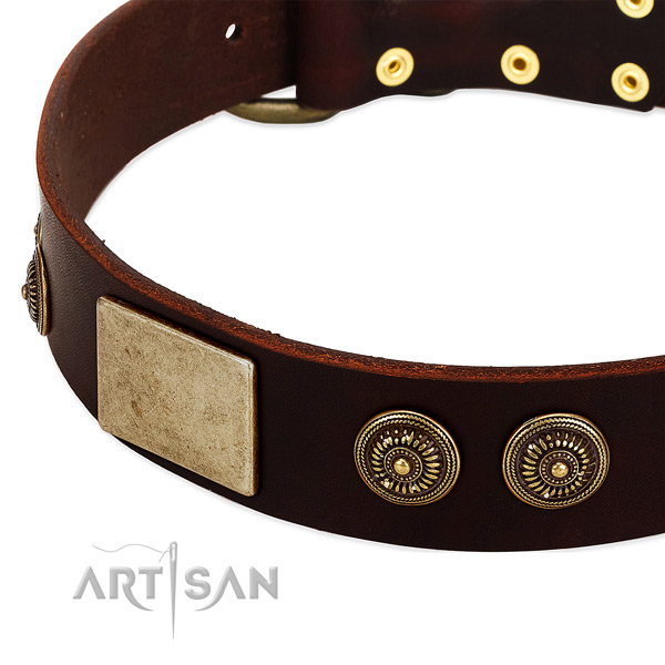 Corrosion proof decorations on leather dog collar for your doggie