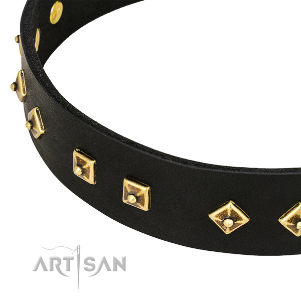 Perfect fit leather collar for your lovely canine