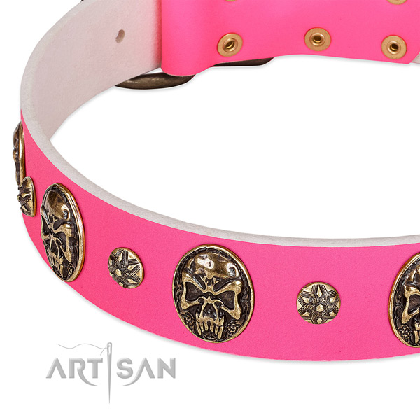 Convenient dog collar made for your impressive doggie