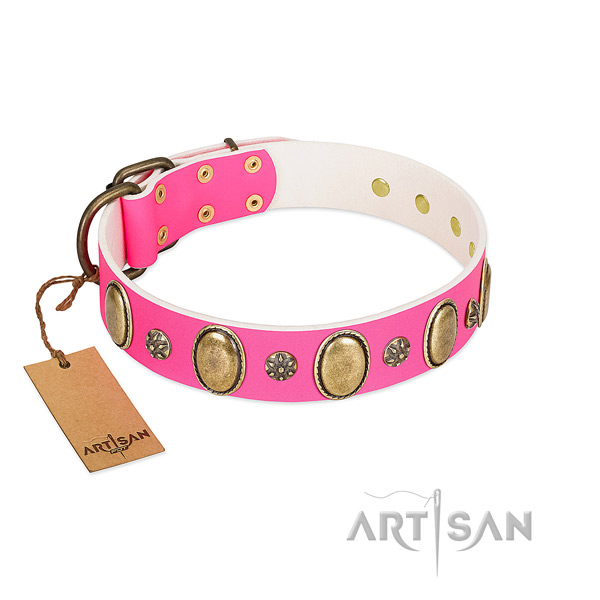 High quality genuine leather dog collar with corrosion resistant hardware