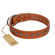 "Star Trek" FDT Artisan Tan Leather Pitbull Collar Decorated with Stars