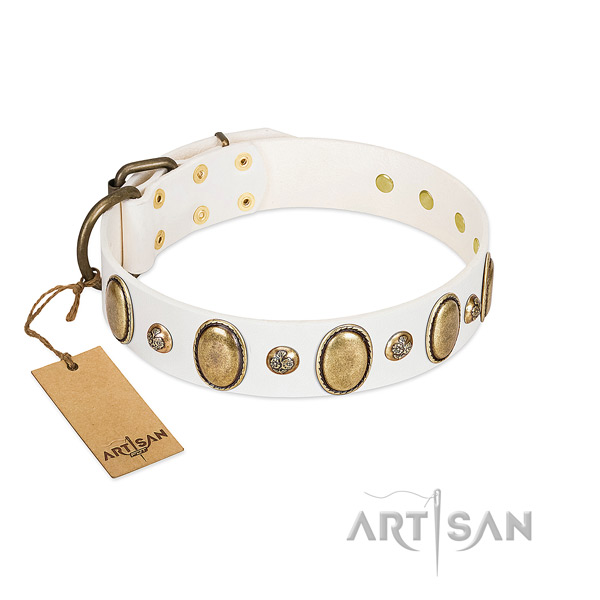 Natural leather dog collar of quality material with exceptional adornments