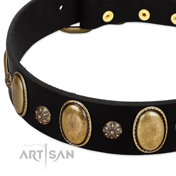 Everyday use gentle to touch genuine leather dog collar
