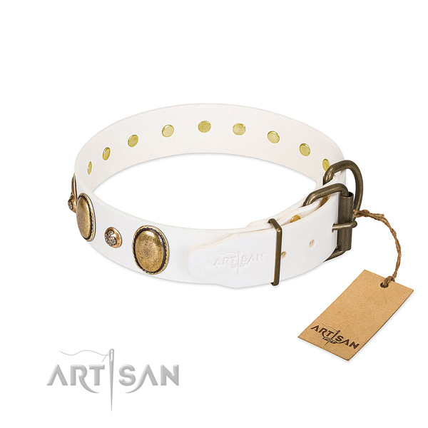 Everyday walking natural genuine leather dog collar