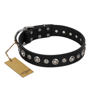 "Genteel Charm" FDT Artisan Black Leather Pitbull Collar with Silver-like Round Conchos