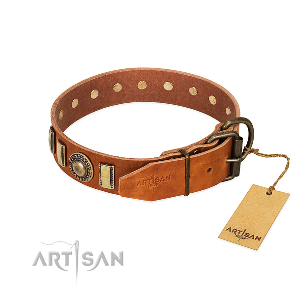 Incredible full grain leather dog collar with durable buckle