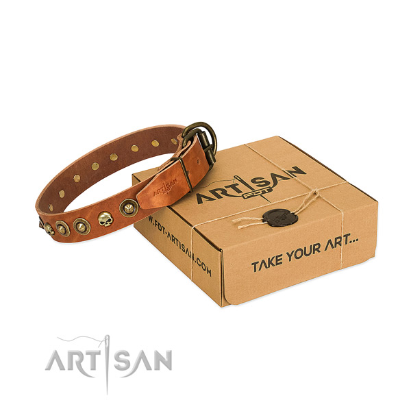 Full grain natural leather collar with stylish embellishments for your pet