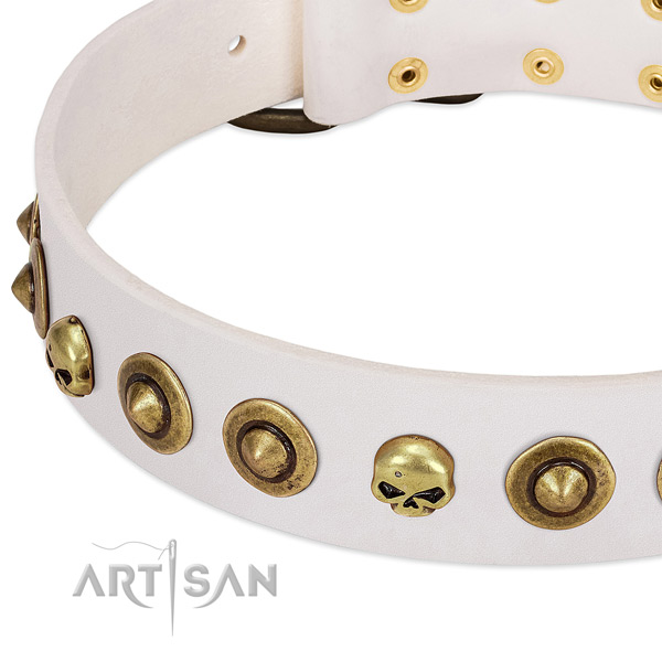 Remarkable decorations on full grain natural leather collar for your pet