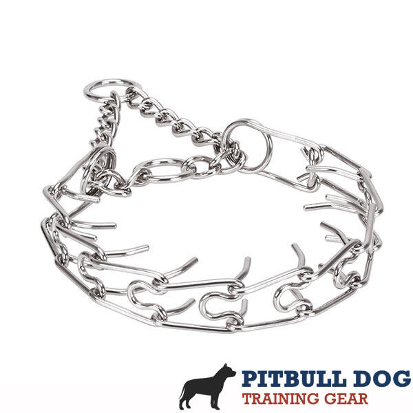 Corrosion proof dog pinch collar with stainless steel removable links