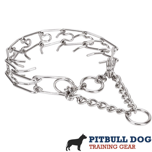 Stainless steel dog prong collar for large dogs