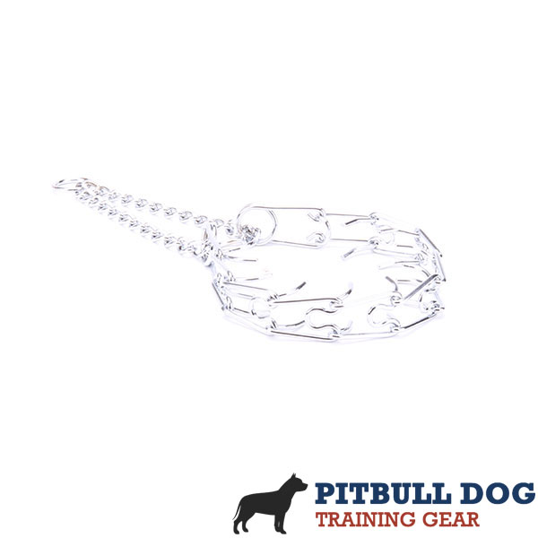 Chrome plated dog prong collar for disobedient dogs