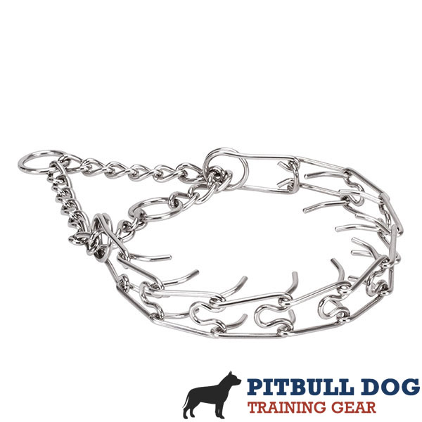 Rust resistant stainless steel prong collar for poorly behaved canines