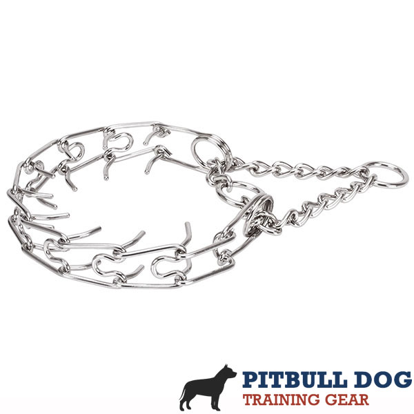 Reliable stainless steel dog pinch collar for large dogs
