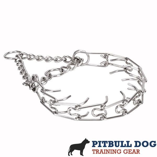 Pinch collar of stainless steel for poorly behaved canines
