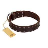 "Star Party" Handmade FDT Artisan Brown Leather Pitbull Collar with Silver-Like Studs