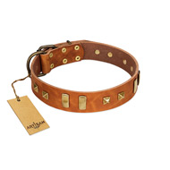 "Sand of Time" FDT Artisan Tan Leather Pitbull Collar with Old Bronze-like Studs and Plates
