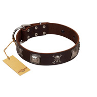 "Nut-Brown Finery" Embellished FDT Artisan Brown Leather Pitbull Collar with Chrome Plated Crossbones and Plates