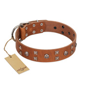 "Enchanted Skulls" FDT Artisan Tan Leather Pitbull Collar with Chrome Plated Skulls
