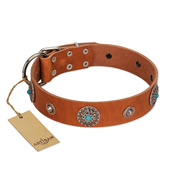 "Marine Antiques" Handmade FDT Artisan Tan Leather Pitbull Collar with Blue Stones